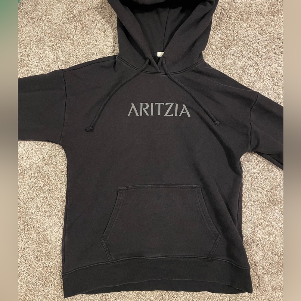Aritzia hoodie